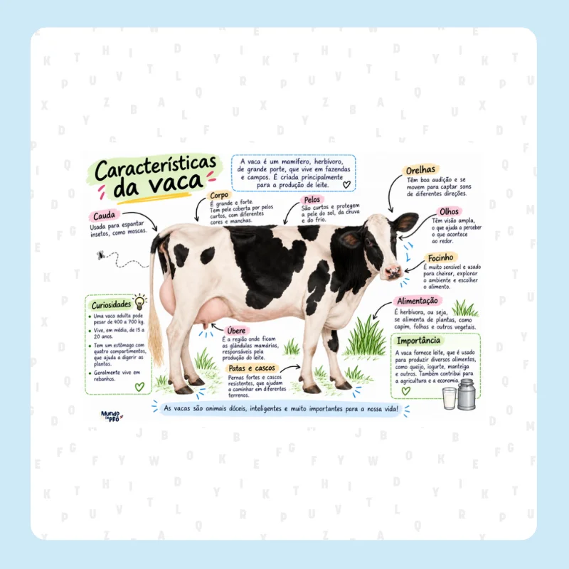 Vamos falar sobre animais